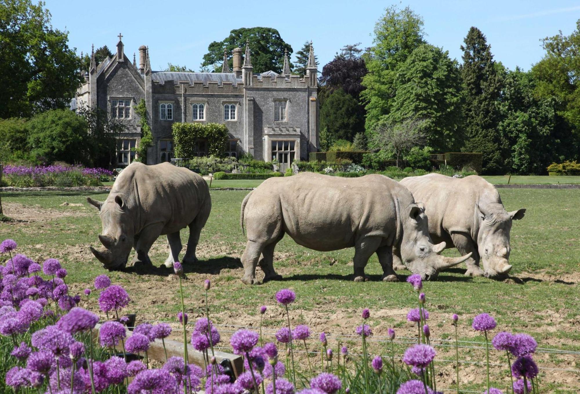 Honey Cottage Stow-on-the-Wold Ngoại thất bức ảnh